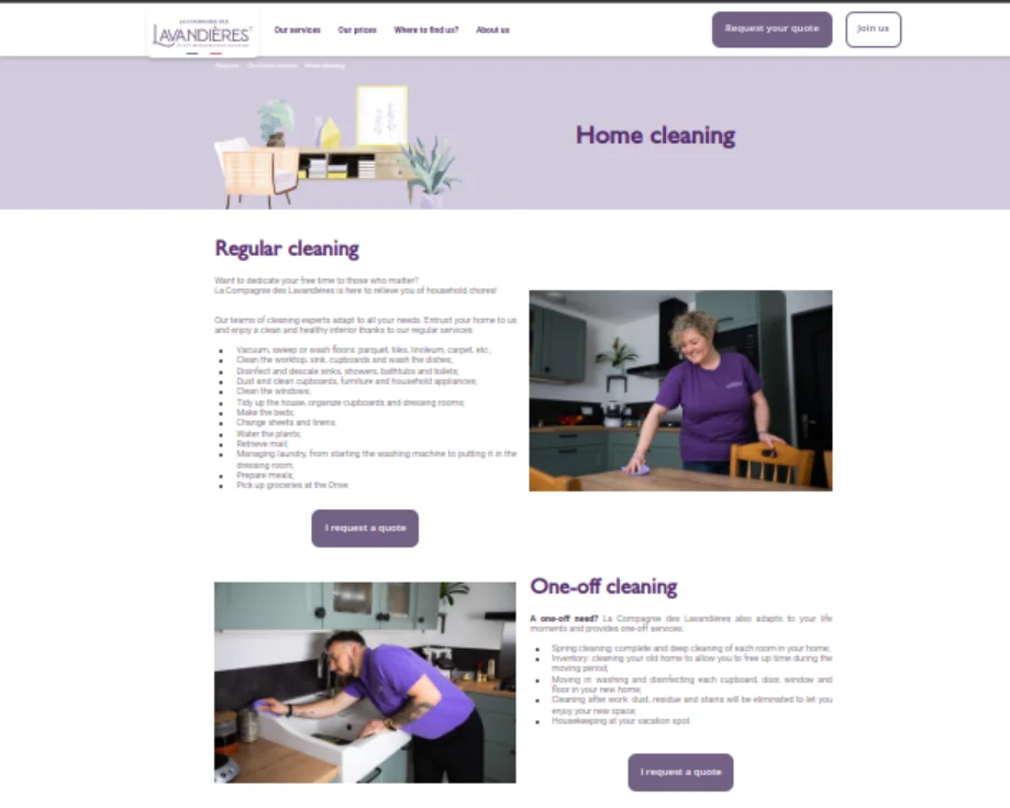 Home Cleaning | Public Enterprise Website for Laundry Services Public Enterprise Website for Laundry Services