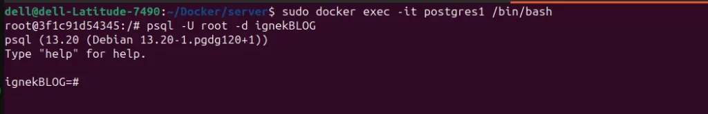 for database | Setting Up Liferay with PostgreSQL Using Docker for_database